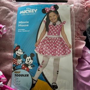 Minnie Mouse Costume
